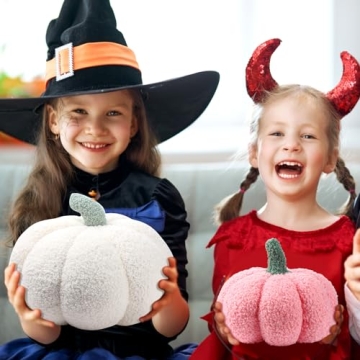 Kajaia 4 Pcs Pumpkin Throw Pillow Cushion 3D Thanksgiving Pillow Fall Pumpkin Pillow Fluffy Stuffed Pillow Plush Pillow for Thanksgiving Bedroom Sofa Supplies 11 Inches, 7 Inches(White, Pink Series)