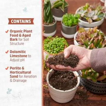 Back to the Roots 100% Organic Succulent & Cacti Mix (Value 12 Quart) | Made in The USA