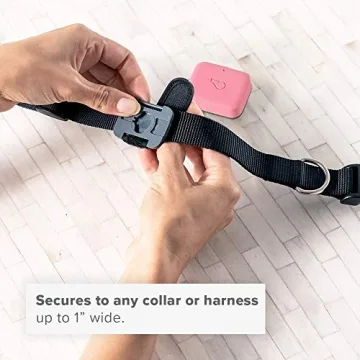 Whistle Go GPS & Health Tracker for Pets - 10 Day Battery