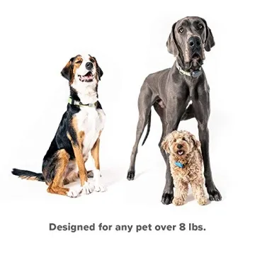 Whistle Go GPS & Health Tracker for Pets - 10 Day Battery