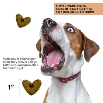 Wild Earth Plant-Based Superfood Dog Treats for Healthier Pets