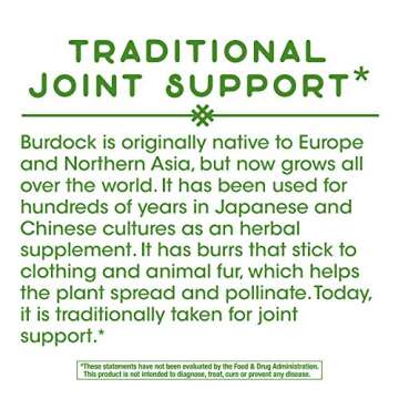 Nature's Way Burdock Root, Traditional Joint Support*, 100 Vegan Capsules (Packaging May Vary)