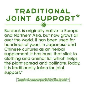Nature's Way Burdock Root for Joint Support in Capsules