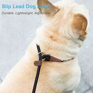 MayPaw Slip Lead Dog Leash - No Pull & 13 Colors Available