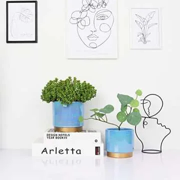 Elegant YFFSRJDJ Ceramic Flower Pots with Drainage