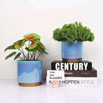 Elegant YFFSRJDJ Ceramic Flower Pots with Drainage