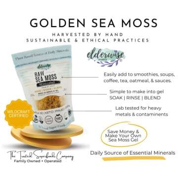 Elderwise Raw Sea Moss | Organic Seamoss Makes 20oz of Gel | Wildcrafted Golden Sea moss | Raw & Non...