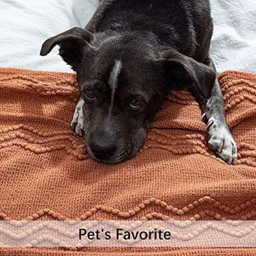 MIULEE Knitted Boho Throw Blanket for Couch Textured Knit Terracotta Rust Blanket with Tassels Cozy Woven Farmhouse Blanket for Sofa Bed Chair Wave Pattern Fall Decor 50"x60", Orange