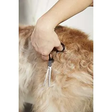 Andis Straight Shears, Right-Handed, Professional Dog and Cat Grooming