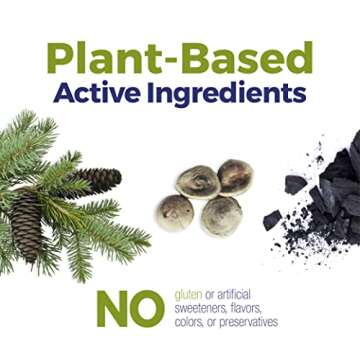 Boiron Acidil for Relief of Acid Reflux, Heartburn, Indigestion, and Upset Stomach (2 Pack of 60)