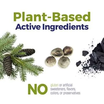 Boiron Acidil Natural Heartburn Relief Tablets 2 Pack