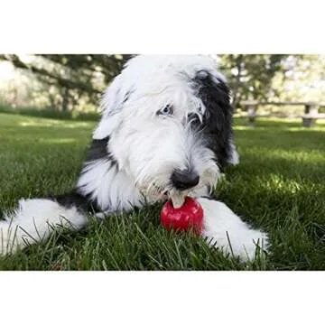 KONG - Ziggies - Teeth Cleaning Dog Treats Classic Rubber Toys - Chicken Flavor for Small Dogs (7 Ounce)