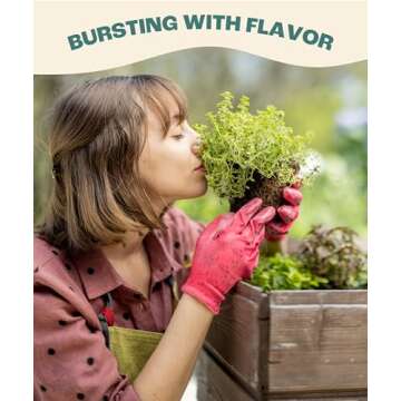 Organic Herb Seeds for Planting, Indoor Outdoor and Hydroponic Garden, incl Basil Cilantro Mint and Dill Seeds, Non GMO and USDA Certified Organic, Gardening Variety Pack