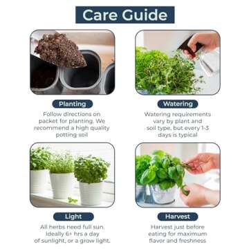 Organic Herb Seeds for Planting, Indoor Outdoor and Hydroponic Garden, incl Basil Cilantro Mint and Dill Seeds, Non GMO and USDA Certified Organic, Gardening Variety Pack