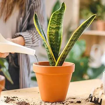 Brajttt Clay Pots for Plants - With Drainage Hole, Pack of 4