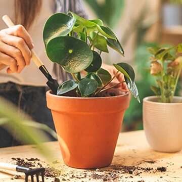 Brajttt Clay Pots for Plants - With Drainage Hole, Pack of 4