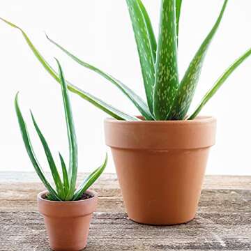 Brajttt Clay Pots for Plants - With Drainage Hole, Pack of 4