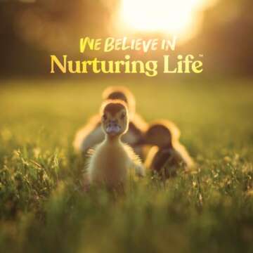 Manna Pro Duck Starter Grower Crumble – Non-Medicated Feed for Healthy Ducks & Geese, Supports Digestion – 8 lb