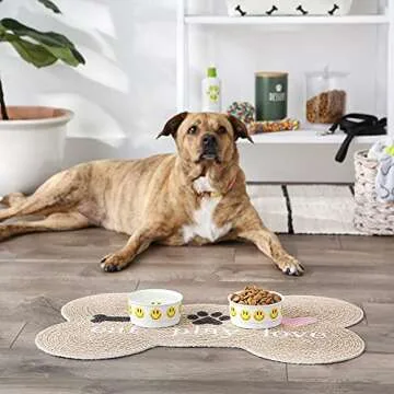 Non-Slip Bone Dry Ceramic Pet Bowls for Easy Feeding