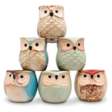 Owl Pots 2.5 Inch,Flowing Glaze Succulent Pots,Owl Planter/Mini Ceramic Pots,Small Flower/Plant/Cactus/Bonsai Container with Hole 6Pack