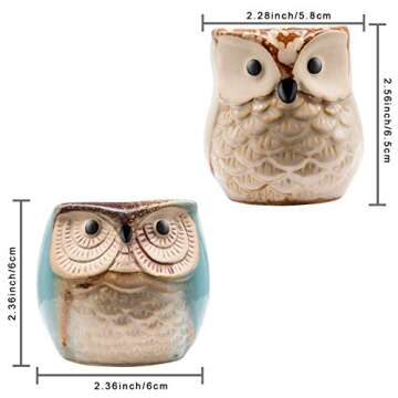 Owl Pots 2.5 Inch,Flowing Glaze Succulent Pots,Owl Planter/Mini Ceramic Pots,Small Flower/Plant/Cactus/Bonsai Container with Hole 6Pack