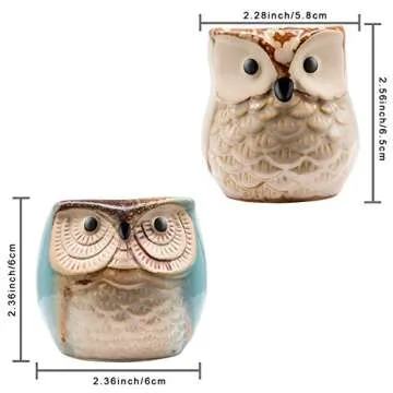 Owl Succulent Planters 2.5 Inch - 6 Pack Ceramic Pots