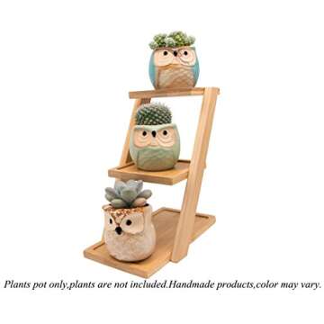 Owl Pots 2.5 Inch,Flowing Glaze Succulent Pots,Owl Planter/Mini Ceramic Pots,Small Flower/Plant/Cactus/Bonsai Container with Hole 6Pack