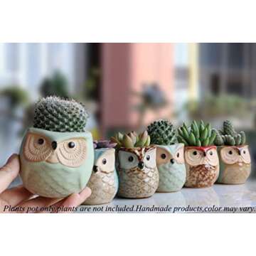Owl Pots 2.5 Inch,Flowing Glaze Succulent Pots,Owl Planter/Mini Ceramic Pots,Small Flower/Plant/Cactus/Bonsai Container with Hole 6Pack