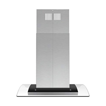 FIREGAS 30" Ceiling Mount Range Hood - 450 CFM