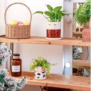 Colorful Nalfea Face Ceramic Flower Pots Set for Plants