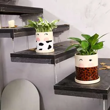 Colorful Nalfea Face Ceramic Flower Pots Set for Plants