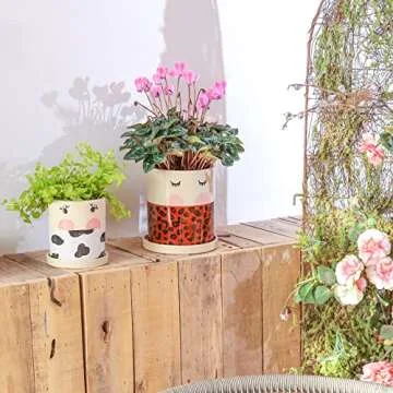 Colorful Nalfea Face Ceramic Flower Pots Set for Plants