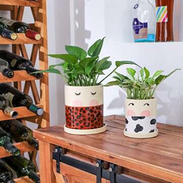 Colorful Nalfea Face Ceramic Flower Pots Set for Plants