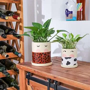 Colorful Nalfea Face Ceramic Flower Pots Set for Plants