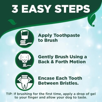 Vet's Best Dog Toothbrush and Toothpaste Kit for Pets