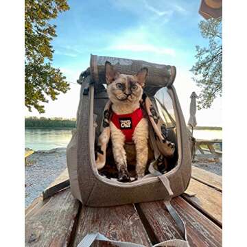 Travel Cat Navigator Carrier Bag - Premium Cat Backpacks for Carrying Cats, Travel, Hiking, Outdoor Use - Grey Mesh Backpacks for Small, Medium, Large Cats up to 25 LBS with Side Pockets, Zipper Clips