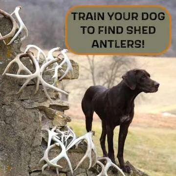 DogBone Shed Dog Training System | Complete Dog Training Kit for Scent Training and Hunting