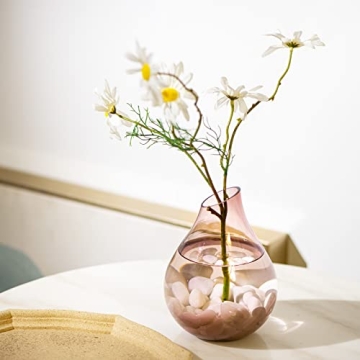 Ausluru 11lbs White Natural River Rocks for Home Decor