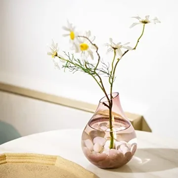 Ausluru 11lbs White Natural River Rocks for Home Decor