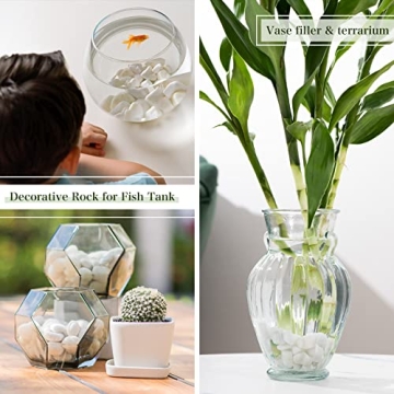 Ausluru 11lbs White Natural River Rocks for Home Decor