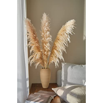 3 Stems XL Dried Pampas Grass Home Decor Wedding