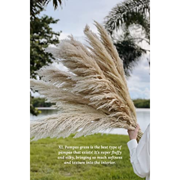 3 Stems XL Dried Pampas Grass Home Decor Wedding