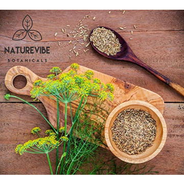 Naturevibe Botanicals Organic Fennel Seeds 1lb Gluten Free Non-GMO