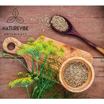 Naturevibe Botanicals Organic Fennel Seeds 1lb Gluten Free Non-GMO