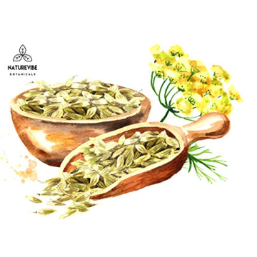 Naturevibe Botanicals Organic Fennel Seeds 1lb Gluten Free Non-GMO