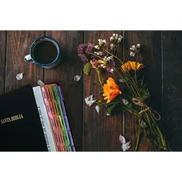 Tabbies Rainbow Spanish Catholic Bible Indexing Tabs