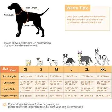 ASENKU Dog Life Jacket Pet Life Safety Vest for Swimming Boating, Dog Shark Life Jackets Dog Lifesavers Swimsuits for Pool, Dog Water Floatation Vest for Small Medium Large Dogs, Gray, Small