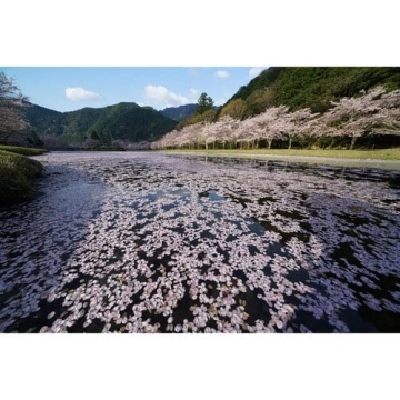 Sony FE 12-24mm F4 G Wide-Angle Zoom Lens for Photographers