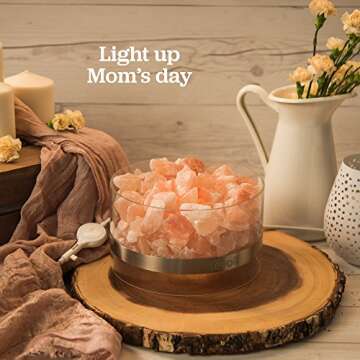 LEVOIT Aria Himalayan Salt Lamp, Pink Rock Large Crystal Natural Himilian Gift Night Light (ETL Certified) Touch Dimmer, 8.5lbs