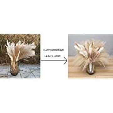 62 Pcs Pampas Grass，Natural Dried Pampas Grass for Flower Arrangements Home Decor / 15 Pcs White Pampas & 15 Pcs Brown Pampas & 32 Pcs Reed Grass